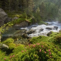 Tirol, Österreich