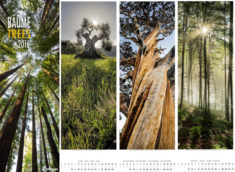 Großformatige Bildkalender