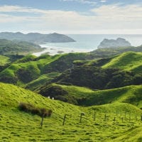 Neuseeland Foto