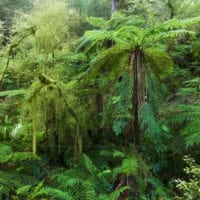 Neuseeland Landschaftsfotografie