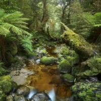 Neuseeland Landschaftsfotografie