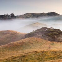 Schafweide vor Sonnenaufgang, Tasman, Südinsel