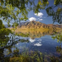 Weiden am Ufer, Lake Benmore, Otago, Südinsel, Neuseeland