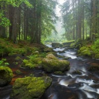 Waldviertel, Niederösterreich