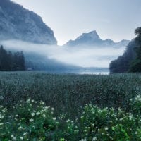 Leopoldsteiner See, Steiermark