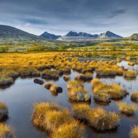 Norwegen Rondane Landschaft