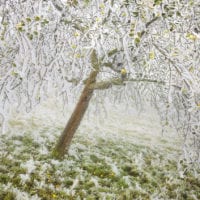 Fotos aus Österreich - Landschaftsfotografie