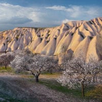 Wald Fotos - Fine Art Print - Landschaftsfotograf