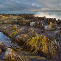 Landschaftsfotografie - Küste und Meer