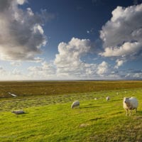 Deutschland Fotos - Landschaftsfotografie und Städtebilder