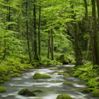 Deutschland Fotos - Landschaftsfotografie und Städtebilder