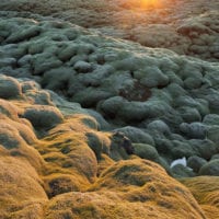 Island Fotos - Landschaftsfotografie Rainer Mirau