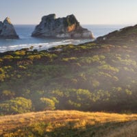 Archway Islands, Wharariki Beach, Tasman, Südinsel, Neuseeland