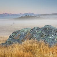 Sonnenaufgang auf einer Schafweide, Felsen, Otago, Südinsel, Neuseeland