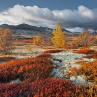 Norwegen Fotos