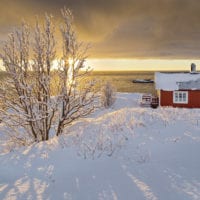 Lofoten Fotos