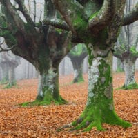 Spanien Fotos - Landschaftsfotografie und Städtebilder